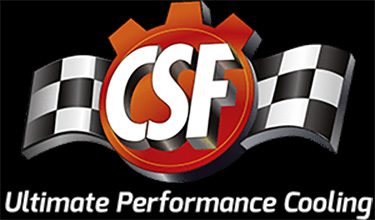 CSF