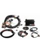 Holley Engine Management Systems HP ECU and Harness for LS1 and LS6 Ki