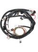 Holley Wiring Harness EFI Main Harness HP Dominator Chevrolet 6.0L HLY