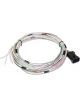 Holley Wiring Harness, J1A/B Dominator, Holley, Kit
