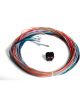 Holley Wiring Harness, J2B ECU, EFI Dominator, Holley, Kit