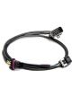 Holley Wiring Harness, Ignition