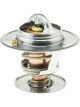 Gates Thermostat + Gaskets & Seals