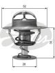 Gates Thermostat + Gaskets & Seals