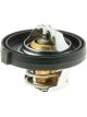 Gates Thermostat + Gaskets & Seals