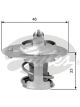 Gates Thermostat + Gaskets & Seals