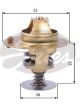 Gates Thermostat + Gaskets & Seals