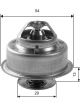 Gates Thermostat + Gaskets & Seals