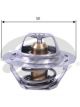 Gates Thermostat + Gaskets & Seals