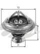 Gates Thermostat + Gaskets & Seals