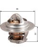 Gates Thermostat + Gaskets & Seals