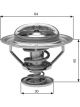 Gates Thermostat + Gaskets & Seals