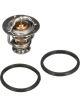 Gates Thermostat