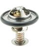 Gates Thermostat