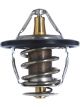 Gates Thermostat + Gaskets & Seals
