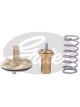 Gates Thermostat + Gaskets & Seals