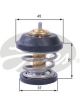 Gates Thermostat + Gaskets & Seals