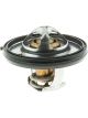 Gates Thermostat + Gaskets & Seals