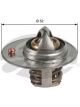 Gates Thermostat