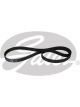 Gates PowerGrip Timing Belt