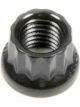 ARP Nut 12PT 1/4-28 Thread 5/16