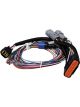 MSD Power Grid Replacement Wiring Harness (MSD-7780)