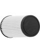 AEM DryFlow Air Filter