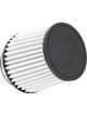 AEM DryFlow Air Filter