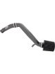 AEM Cold Air Intake