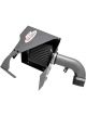 AEM Cold Air Intake