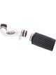 AEM Brute Force Intake