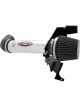 AEM Brute Force Intake