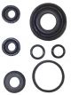 Protex Disc Caliper Repair Kit