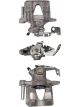Protex Caliper