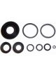 Protex Disc Caliper Repair Kit