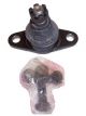 Protex Lower Ball Joint