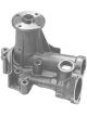 Protex Water Pump