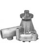 Protex Water Pump