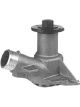 Protex Water Pump