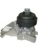 Protex Water Pump