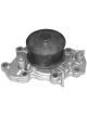 Protex Water Pump