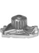 Protex Water Pump