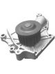 Protex Water Pump