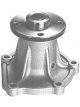 Protex Water Pump