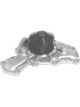 Protex Water Pump