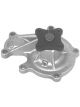 Protex Water Pump