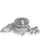 Protex Water Pump