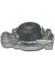 Protex Water Pump