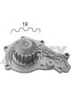 Protex Water Pump
