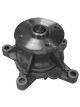 Protex Water Pump